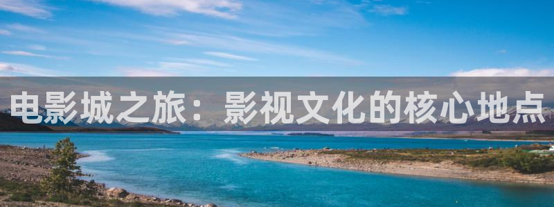 久久视频在线观看免费视频