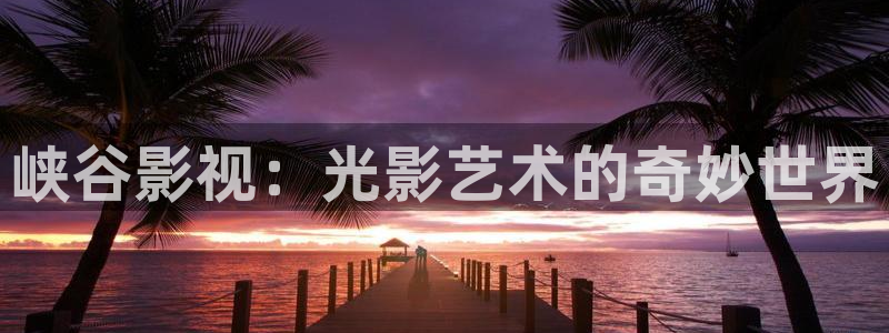 国产精品久久久久久电影