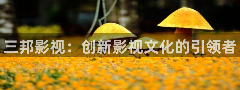 久久久电影免费观看