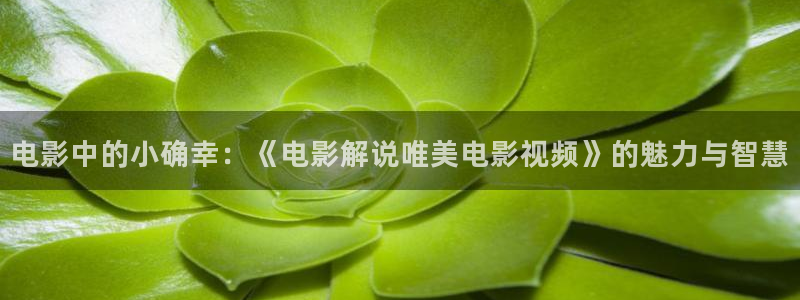 久久视频精品