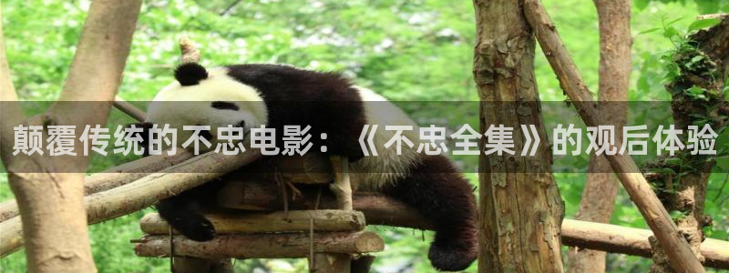久久久久久久久久久影视