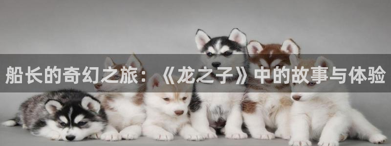 久久久久久高清影院