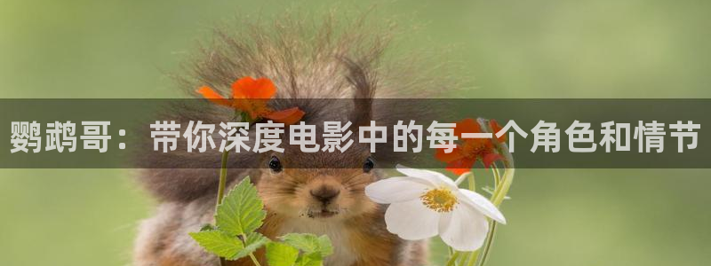 久久久久久久视频