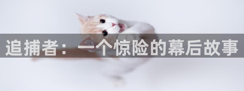 2019最新久久久视频精品
