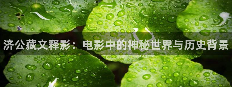 久久久久无吗视频