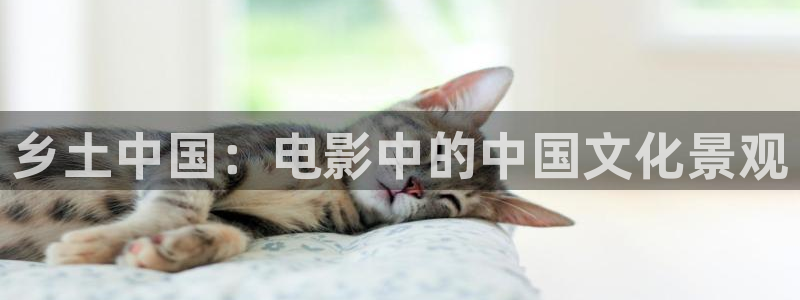 草草久久视频
