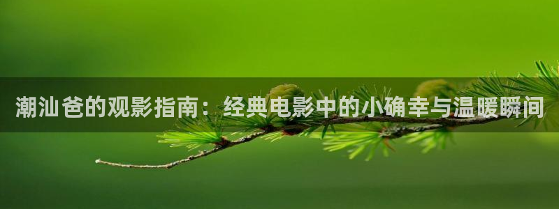 国产精品久久久天天影视
