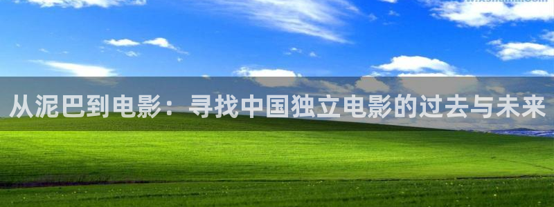 国产精久久久久久精品电影