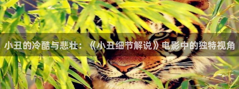 久久久在线影院免费观看电视剧大全