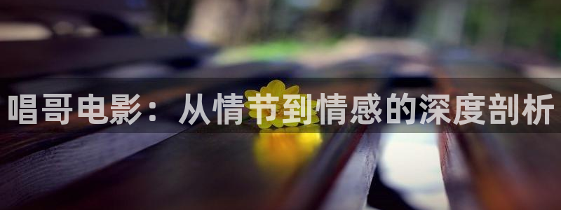 淫久久久影院