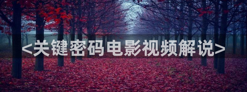 国产影院久久久：<关键密码电影视频解说>