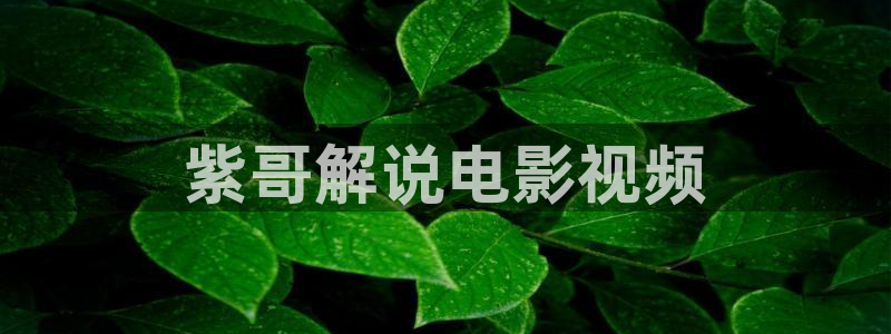 96久久视频：紫哥解说电影视频
