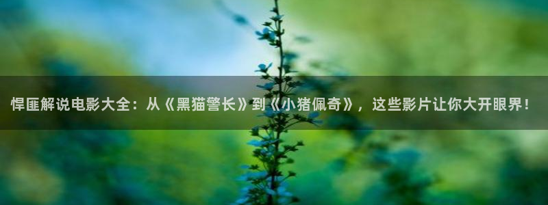 亚洲久久久影院：悍匪解说电影大全：从《黑猫警长》到《小猪佩奇》，这些影片让你大开眼界！