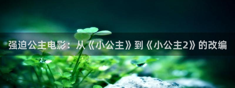 亚洲精品久久久久电影：强迫公主电影：从《小公主》到《小公主2》的改编