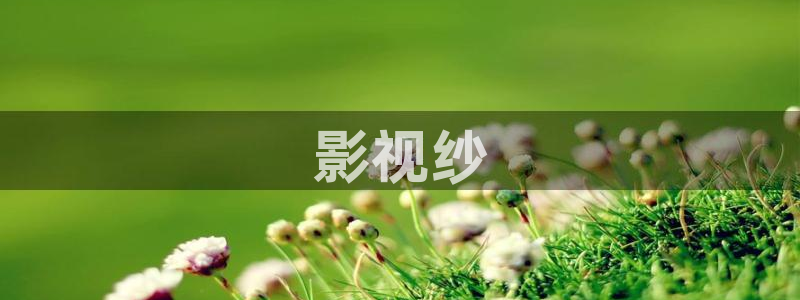 国产精品久久久久久影院8：影视纱