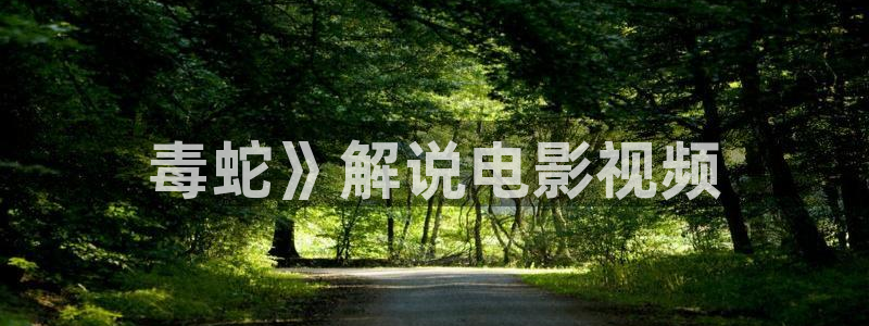 国内精品伊人久久久久aⅴ影院：毒蛇》解说电影视频