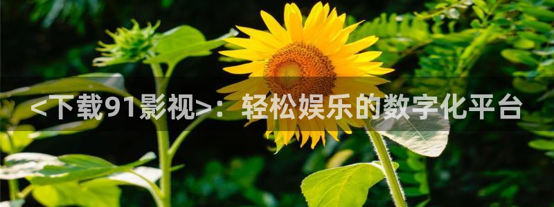 伊人影院久久久久久久久：<下载91影视>：轻松娱乐的数字化平台