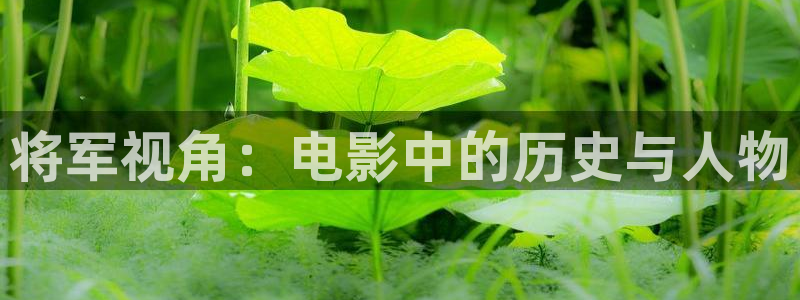 欧美精品久久久久影院：将军视角：电影中的历史与人物