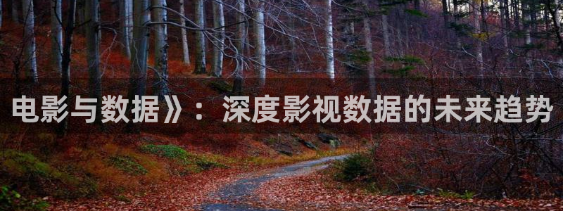2019久久视频有精品：电影与数据》：深度影视数据的未来趋势