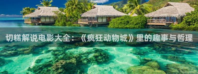 久久久电影精品：切糕解说电影大全：《疯狂动物城》里的趣事与哲理
