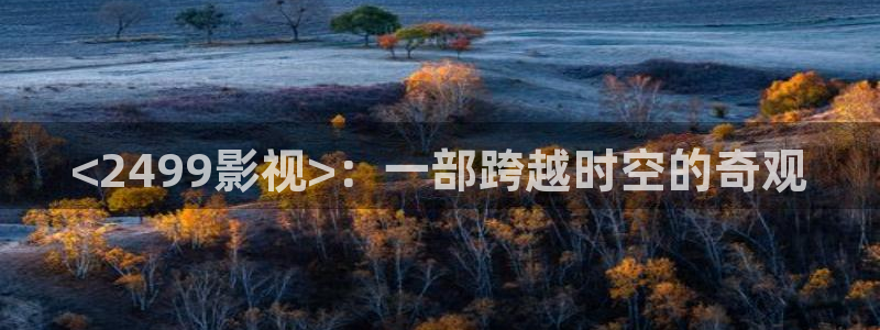 久久视频这里只有极品