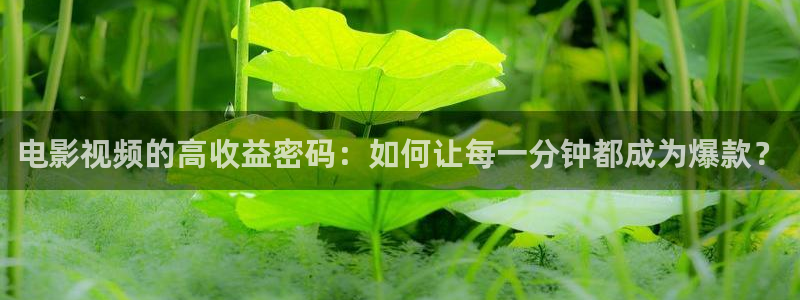 国产久久久久视频