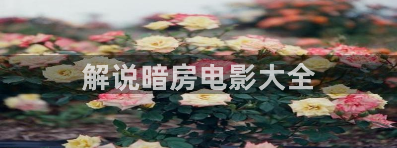 69久久视频：解说暗房电影大全