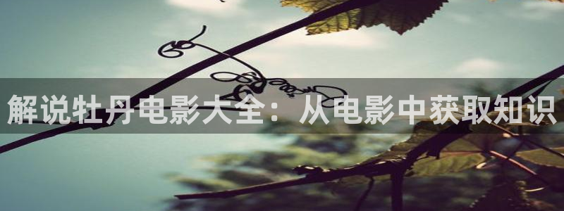 青青久久视频在线