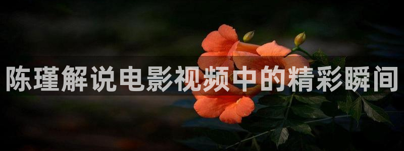 久久久精品免费电影：陈瑾解说电影视频中的精彩瞬间