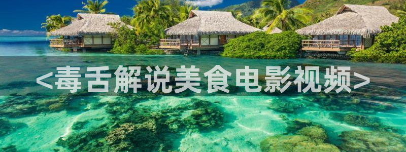 91精品国产高清91久久久久久：<毒舌解说美食电影视频>