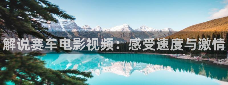 久久久www视频：解说赛车电影视频：感受速度与激情