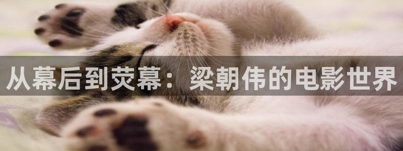 久久久精品电影999：从幕后到荧幕：梁朝伟的电影世界