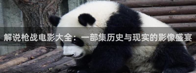 久久久久视频.：解说枪战电影大全：一部集历史与现实的影像盛宴