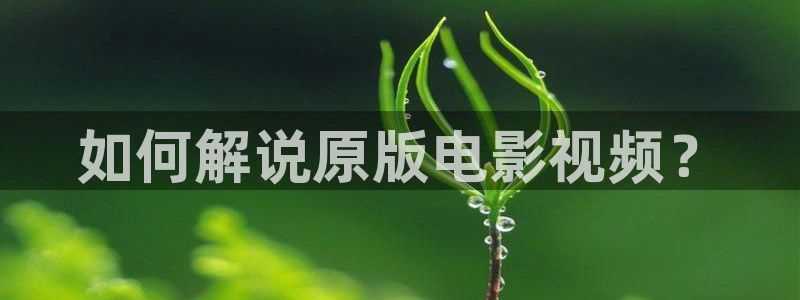 精品视频免费久久久久久影院：如何解说原版电影视频？
