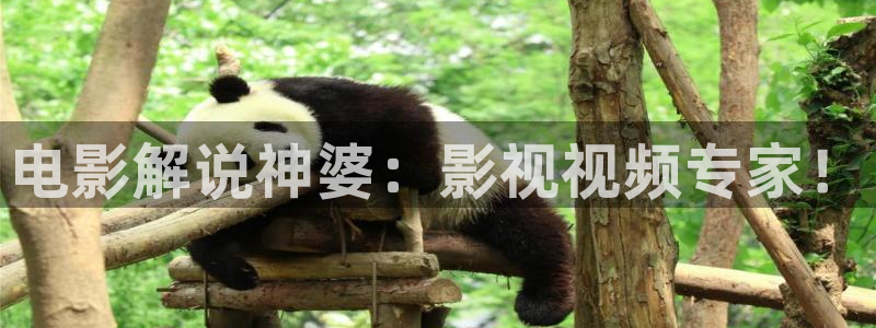 久久久久精品影视