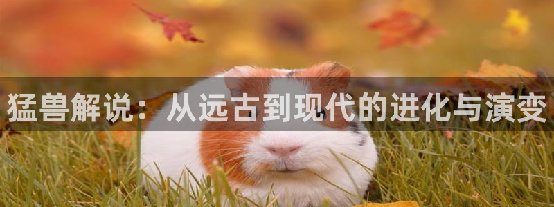 精品影院久久久