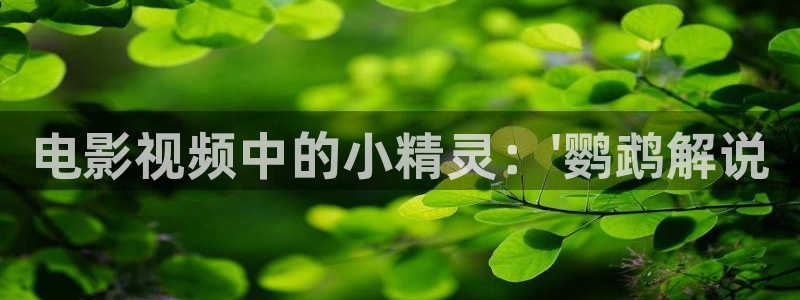 久久视频久