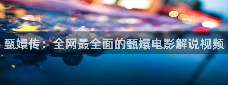 欧美久久久久视频