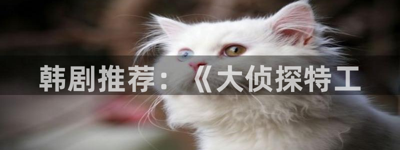 国产电影精品久久久久久