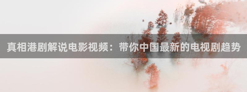 久久视频精品2