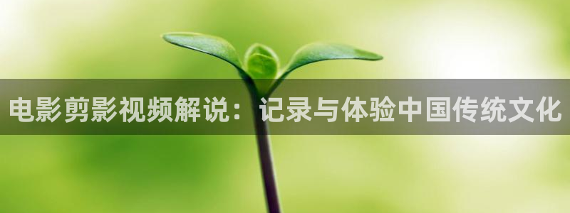 久久久网站在线观看