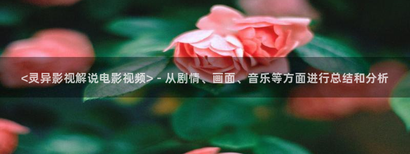 日韩久久视频在线