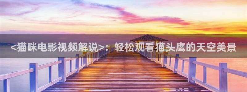 久久视频在线观看免费观看