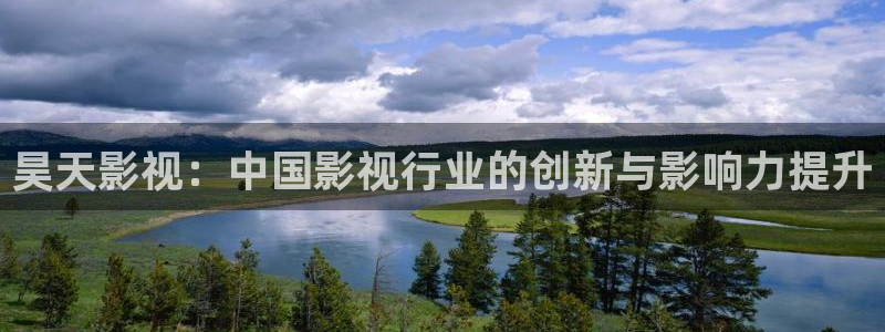 久久视频了