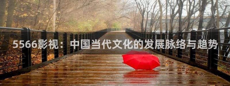 久久视频在线视频精品