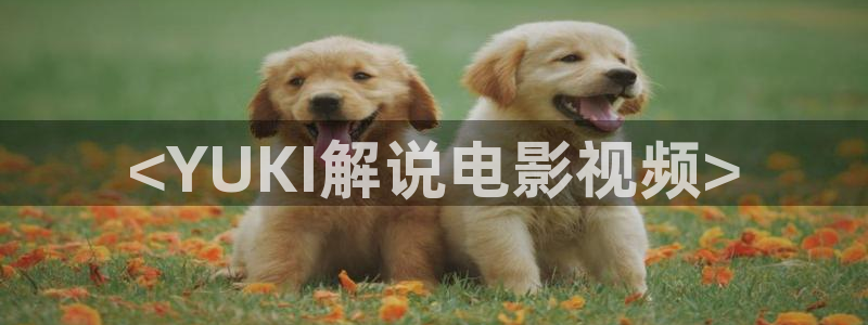 久久久久播放视频