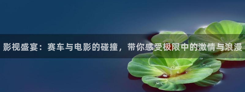 黑人久久视频