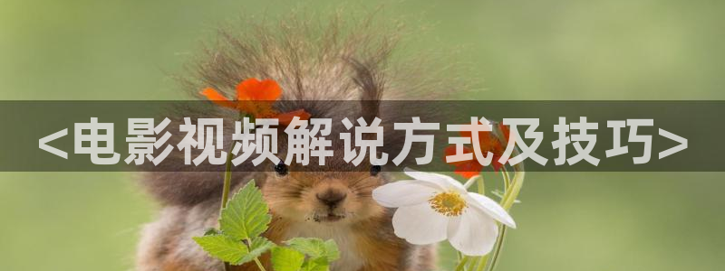 久久久6视频
