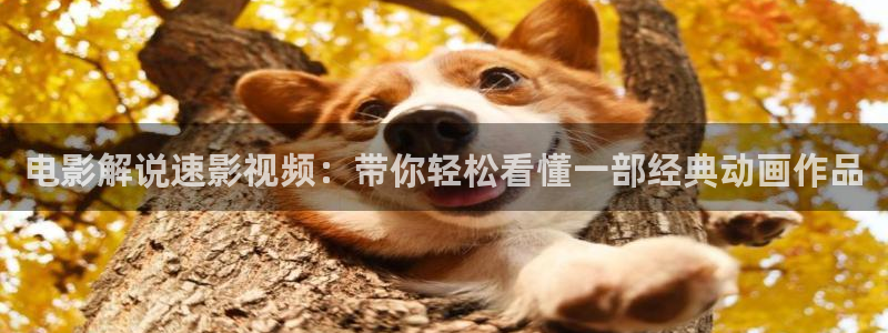 久久久久久久视频