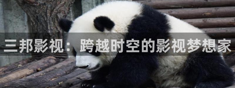 青娱乐久久视频
